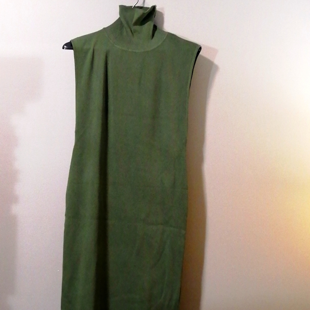 Hera Collection Green Turtle Neck Dress